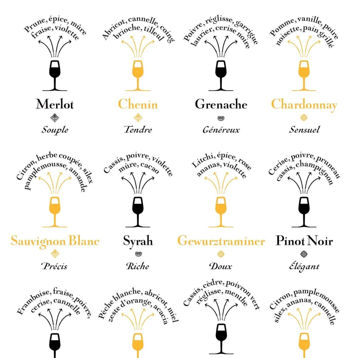 Une illustration imprimée en France. Pour devenir experts des différents cépages et de leurs arômes