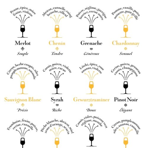 Une illustration imprimée en France. Pour devenir experts des différents cépages et de leurs arômes
